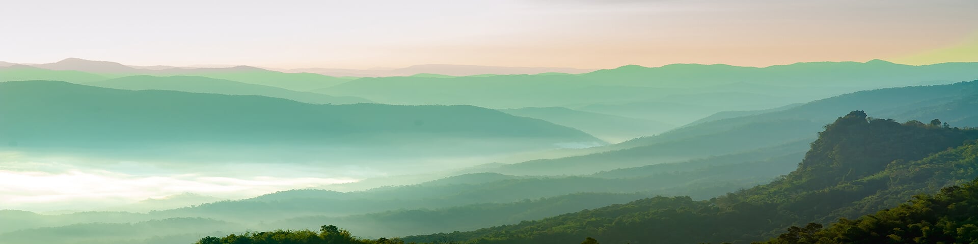 sustainability 1920x480