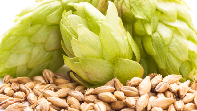 barley hops 640x360