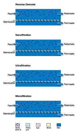 Membrantechnologie Beispiel Bild