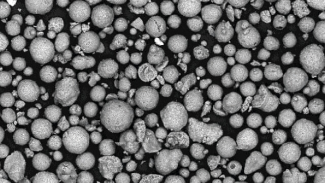 The cat fine problem and where it comes from.jpg