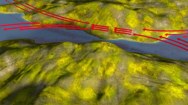 The venturi effect in nature